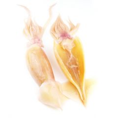 Sotong Rendam