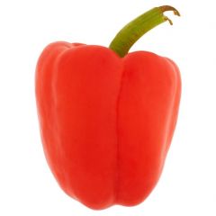 CAMERON RED CAPSICUM