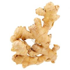 YOUNG GINGER